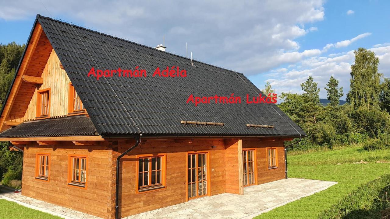 Apartmany Orlice Červená Voda 외부 사진