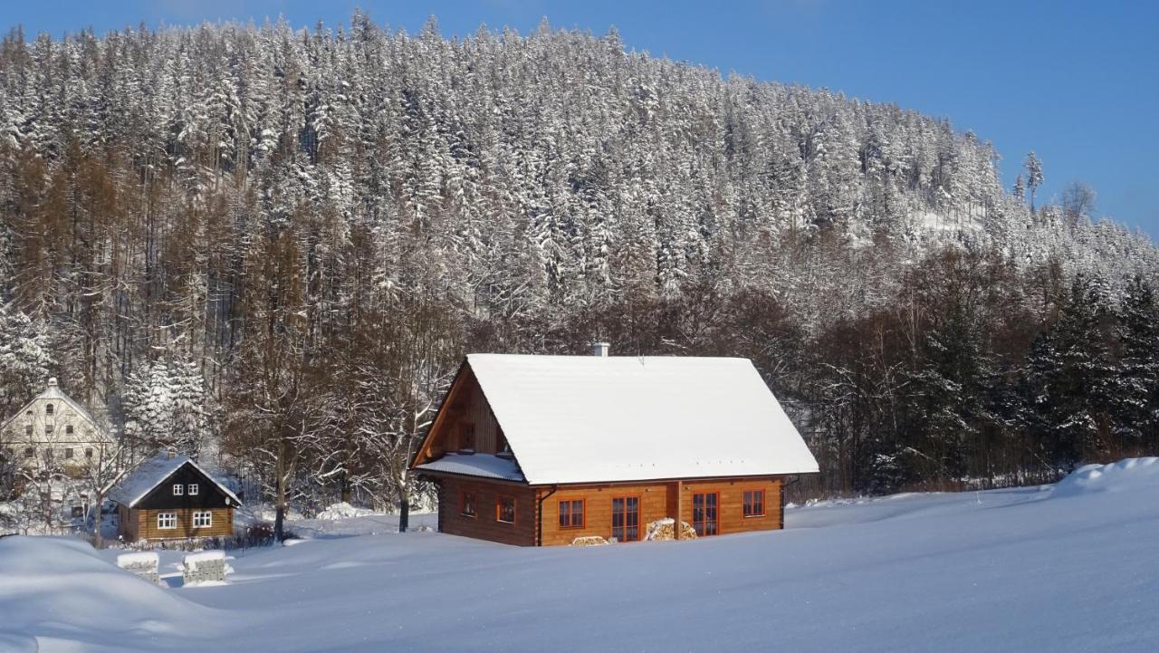 Apartmany Orlice Červená Voda 외부 사진
